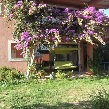 Apartman Lavanda Kali Exterior foto